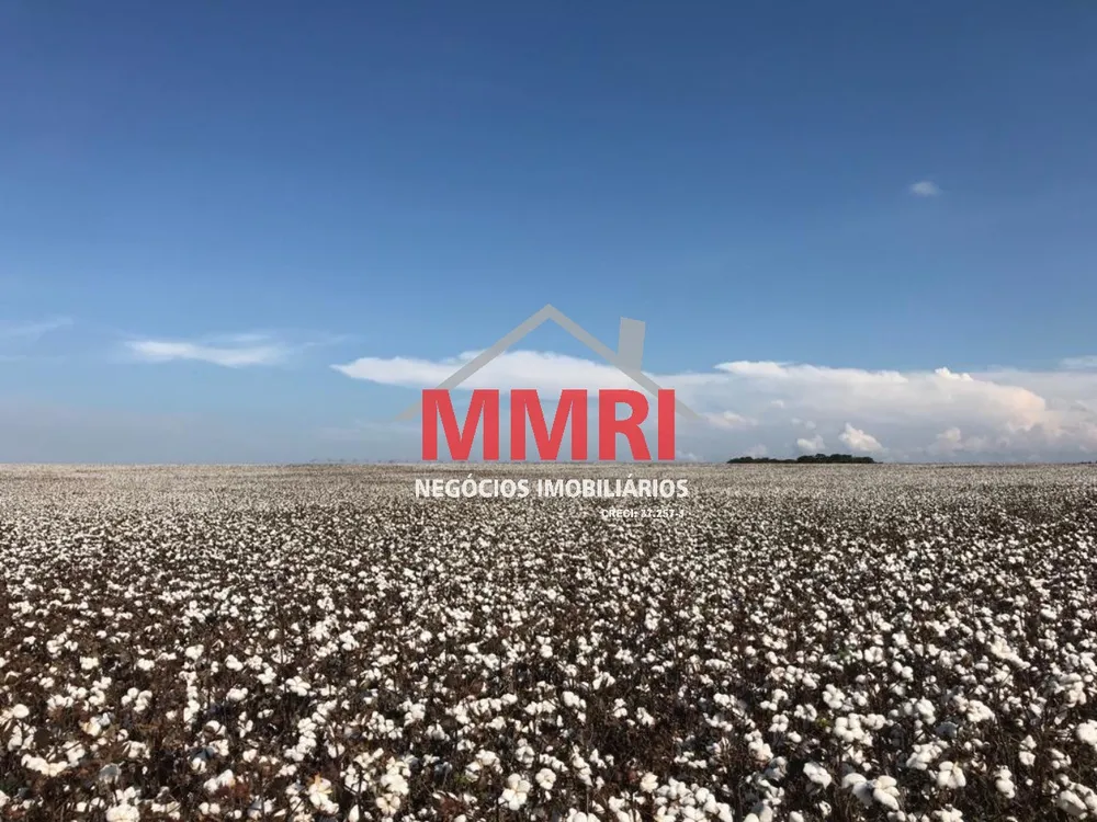 Fazenda, 893 m² - Foto 8