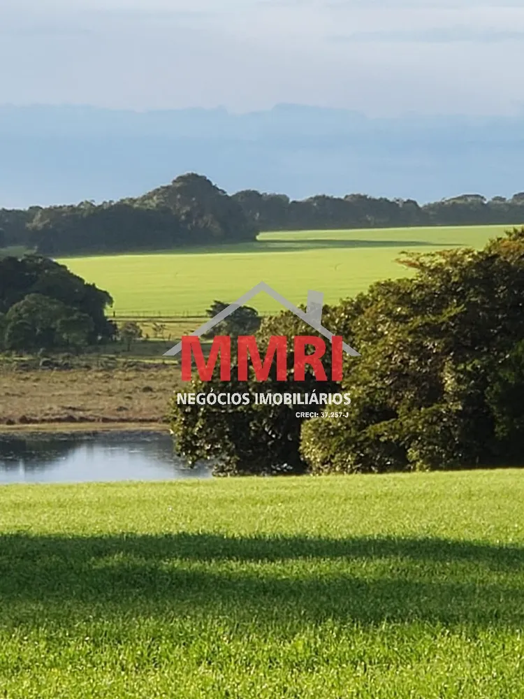 Fazenda, 893 m² - Foto 4