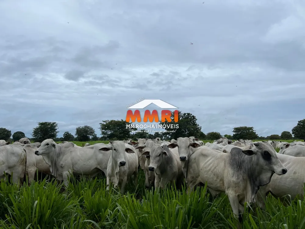 Fazenda, 1575 m² - Foto 6