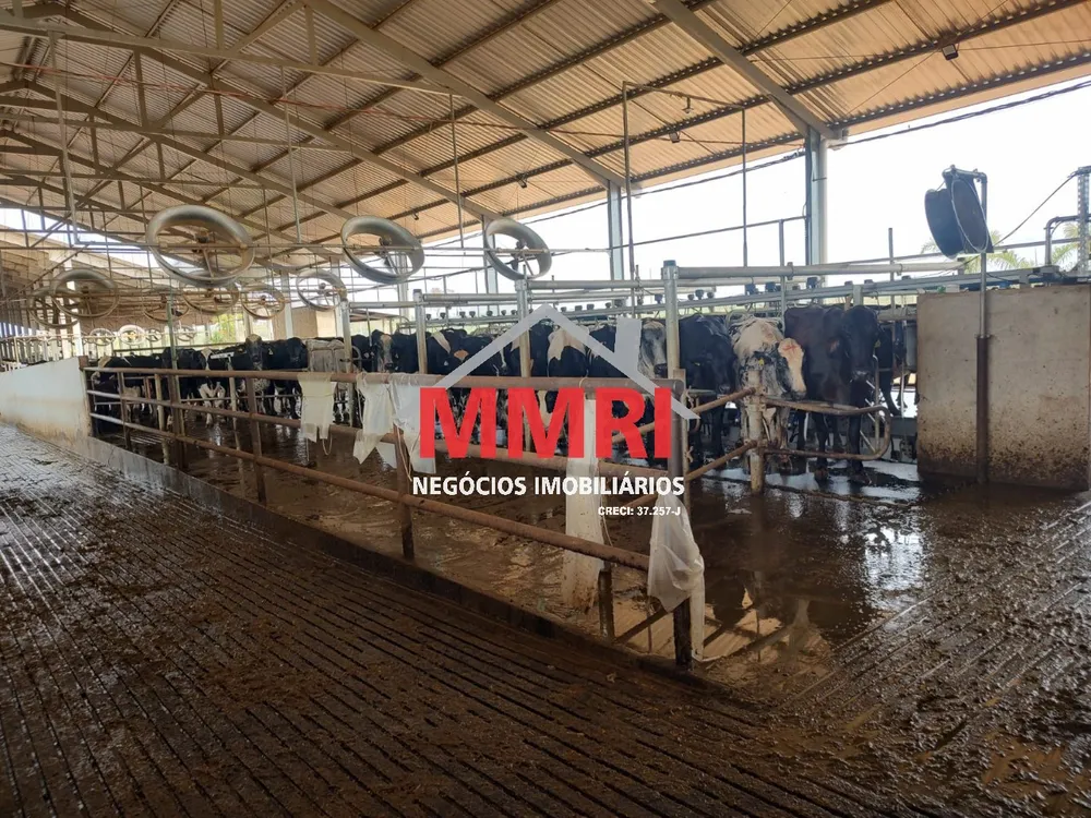 Fazenda, 800 m² - Foto 4