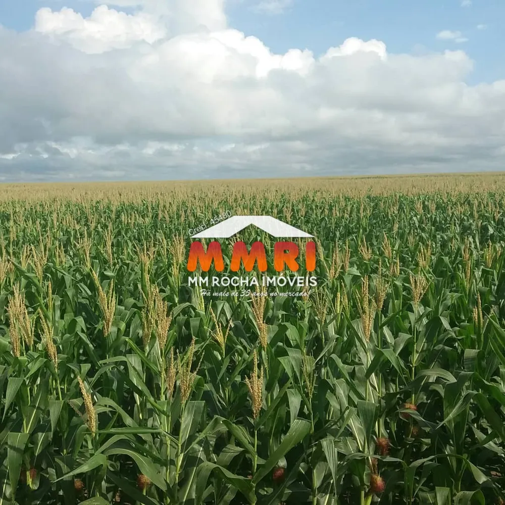 Fazenda, 7 hectares - Foto 4