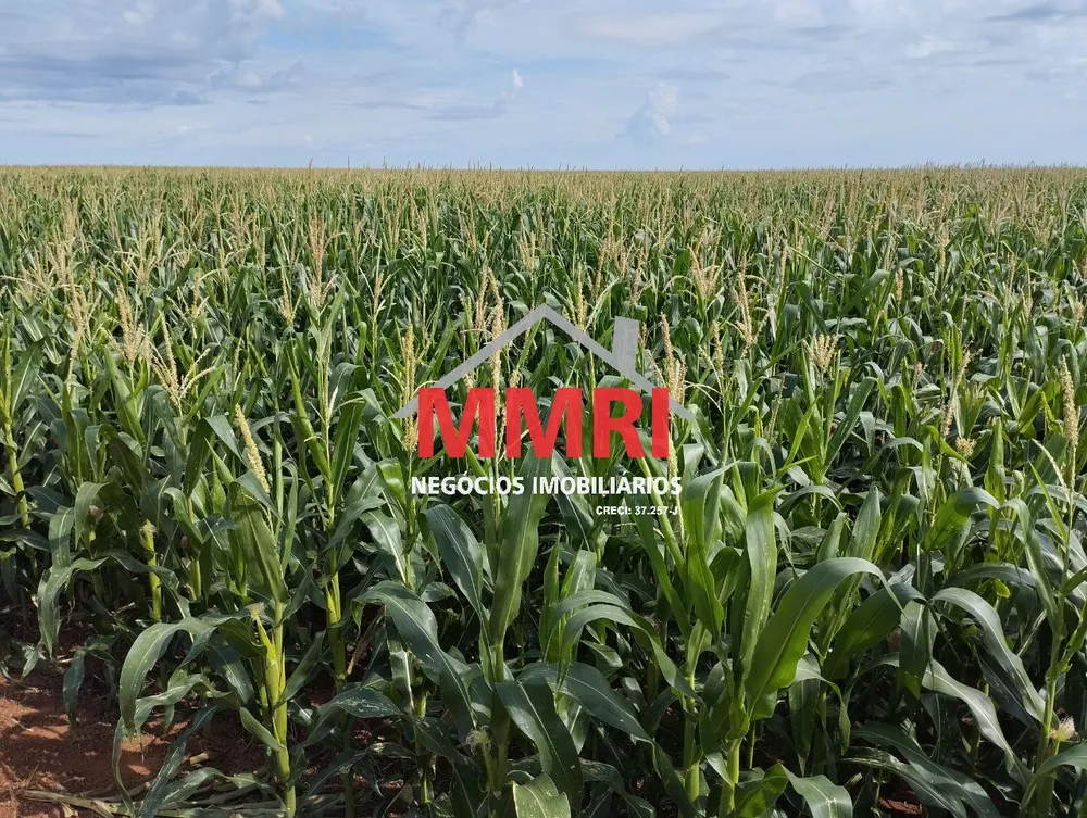 Fazenda - Foto 8