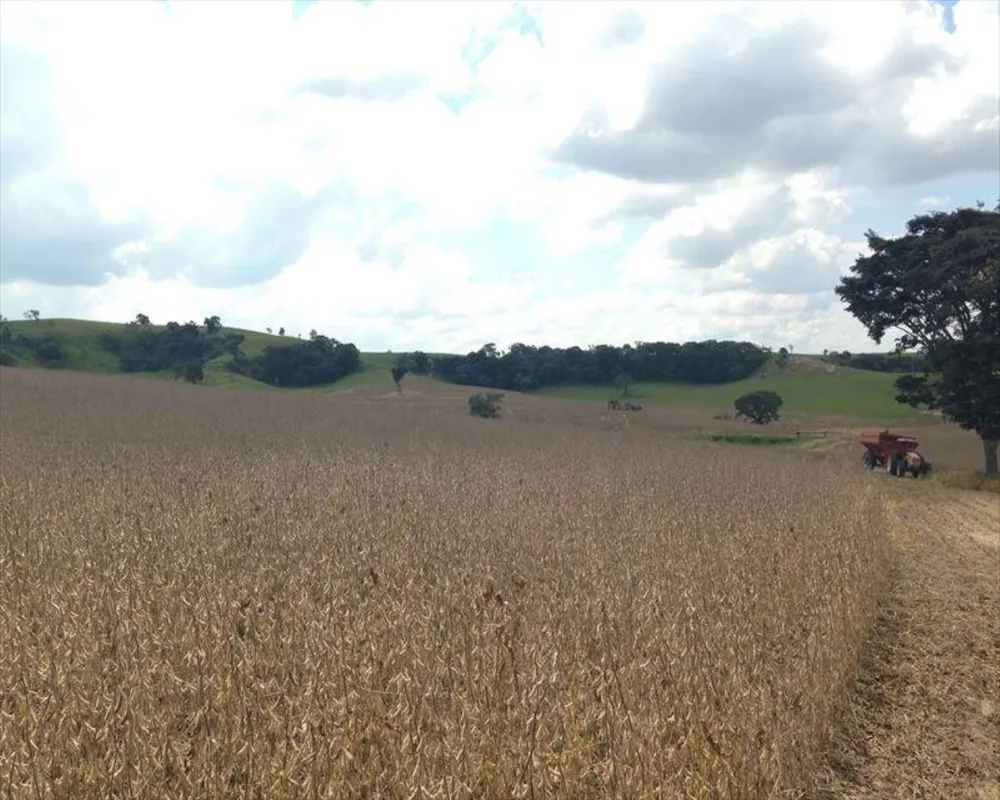 Fazenda, 364 m² - Foto 8