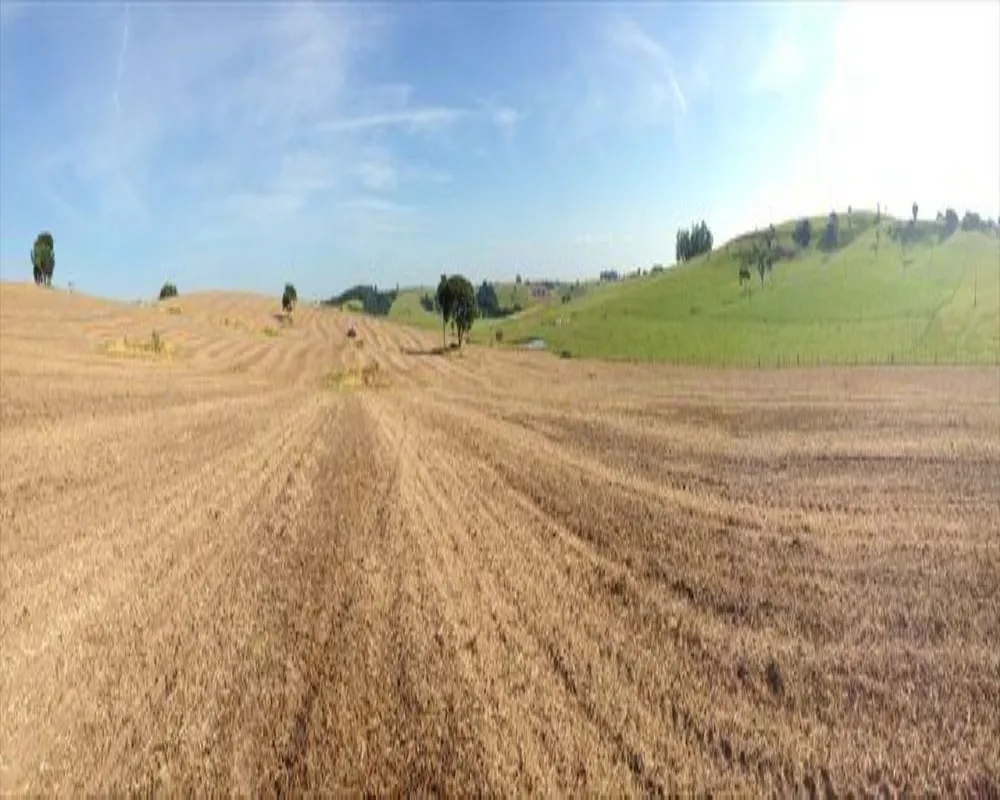 Fazenda, 364 m² - Foto 7