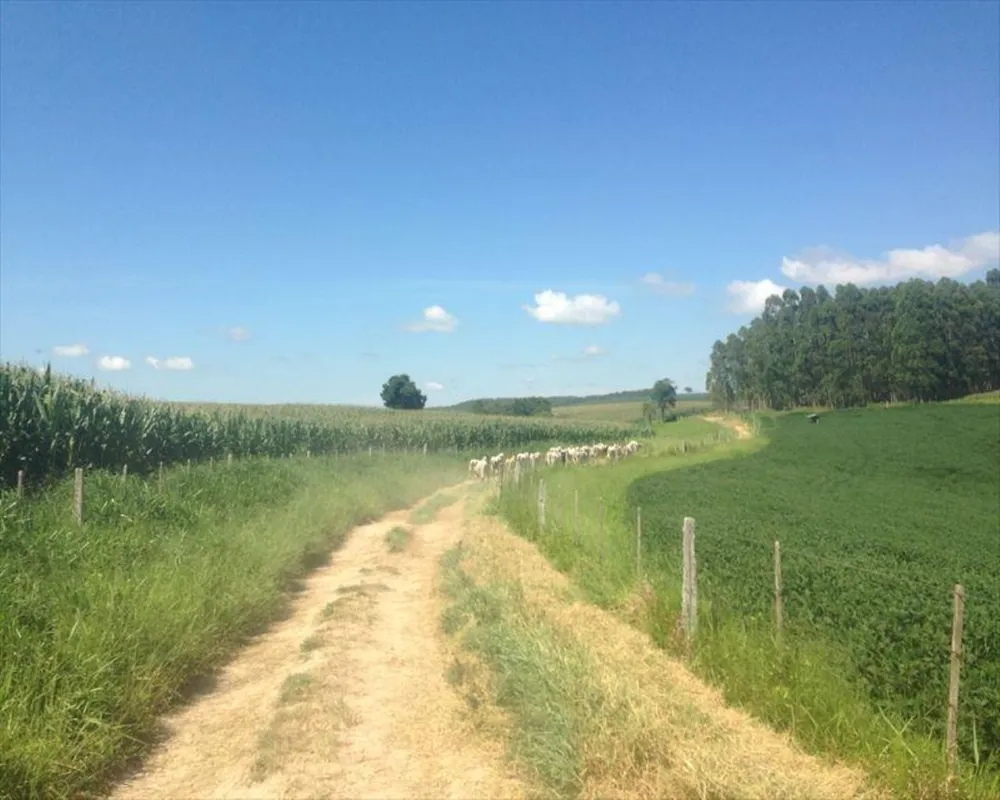 Fazenda, 364 m² - Foto 6
