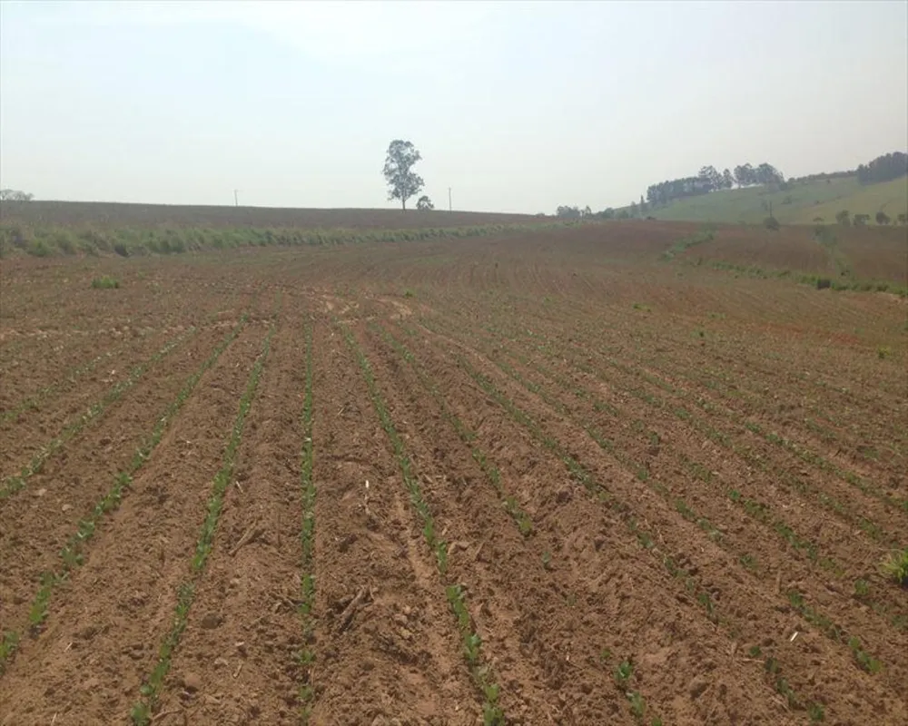 Fazenda, 364 m² - Foto 4