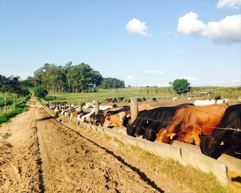 Fazenda, 364 m² - Foto 9