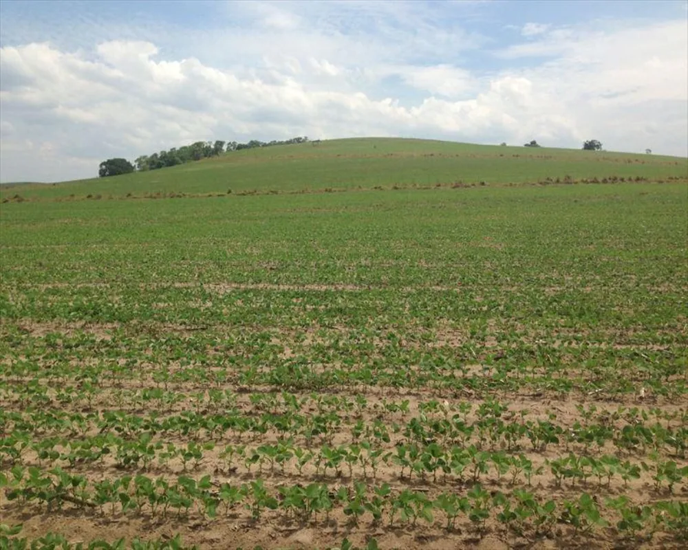 Fazenda, 364 m² - Foto 5