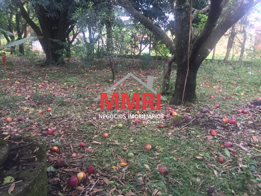 Chácara - Foto 5