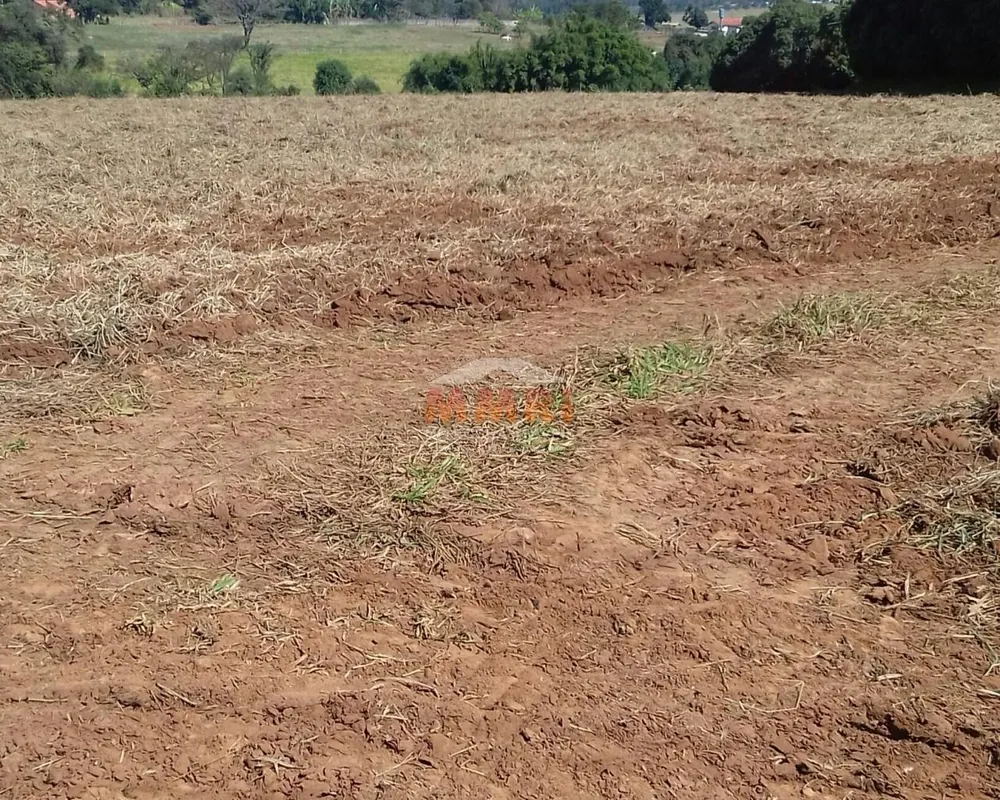 Terreno, 12 hectares - Foto 6