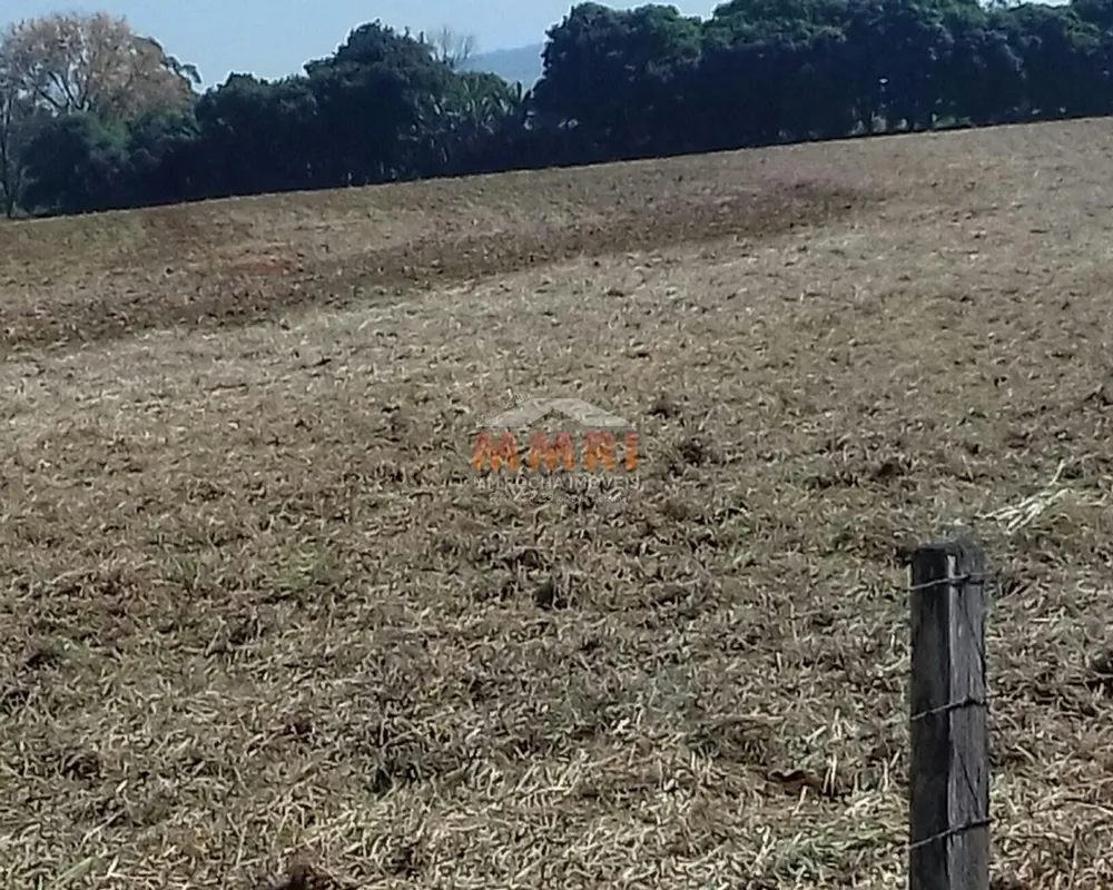 Terreno, 12 hectares - Foto 4