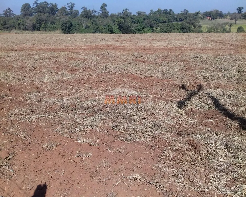Terreno, 12 hectares - Foto 7