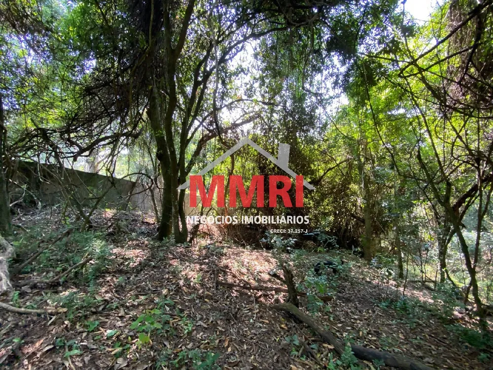Chácara, 4 quartos, 3218 m² - Foto 1
