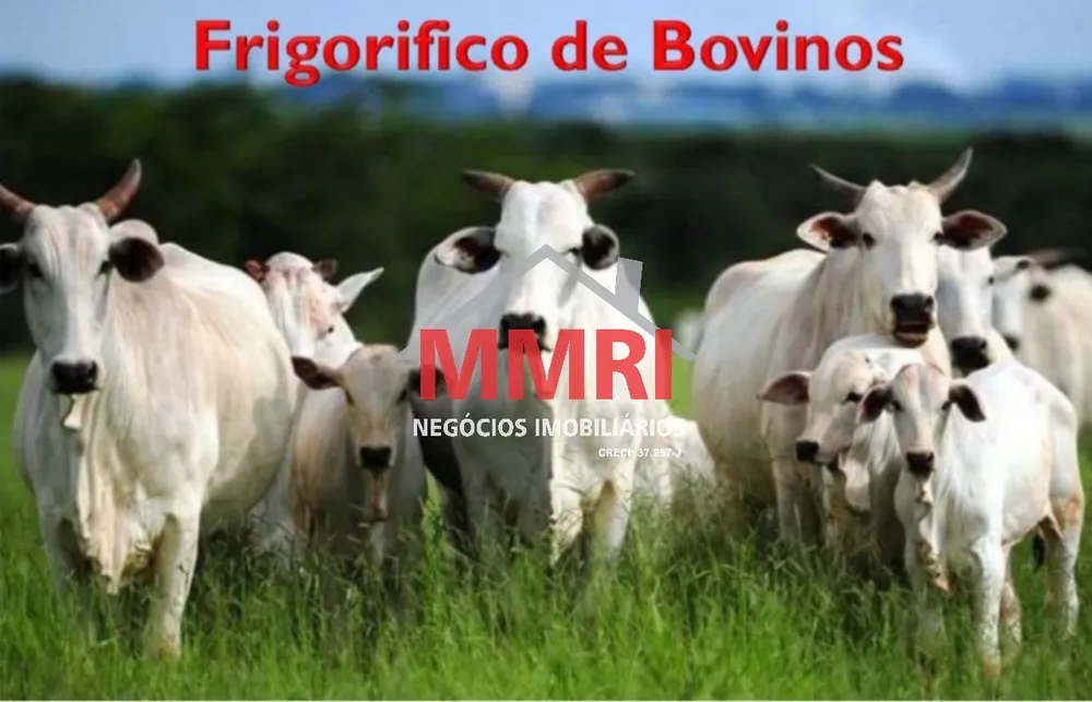 Fazenda, 2 quartos - Foto 1