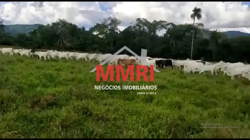 Fazenda - Foto 1