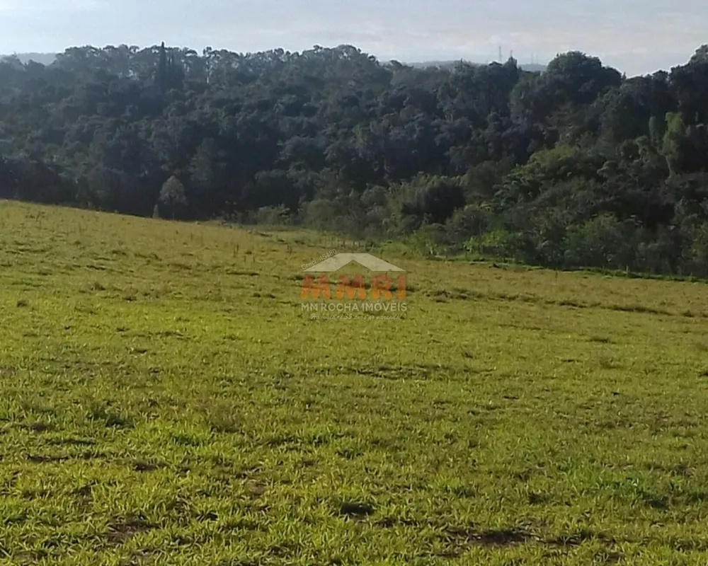 Terreno, 5 hectares - Foto 2