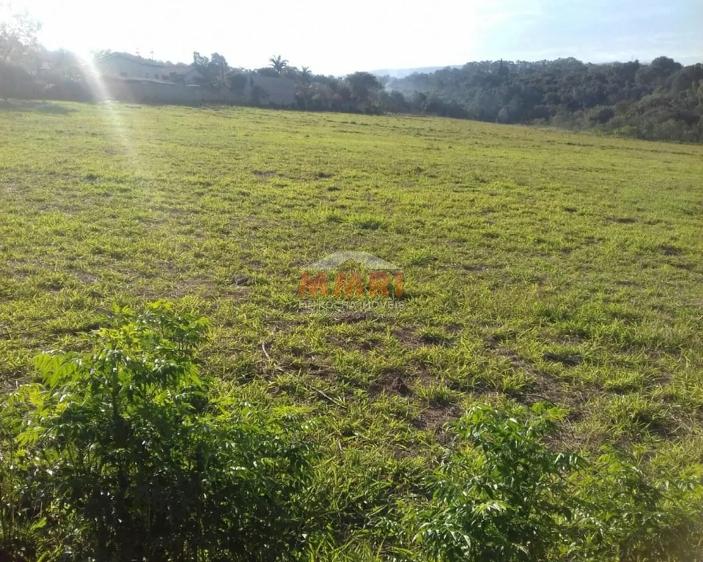 Terreno, 5 hectares - Foto 4