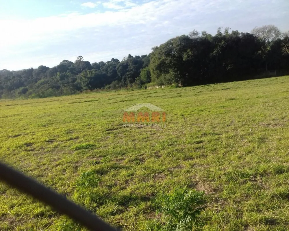Terreno, 5 hectares - Foto 3