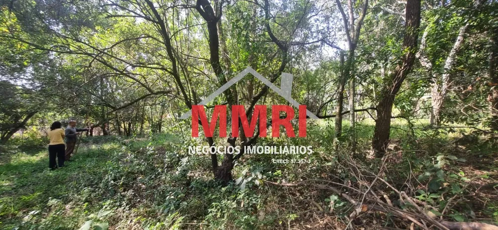 Terreno, 1000 m² - Foto 2