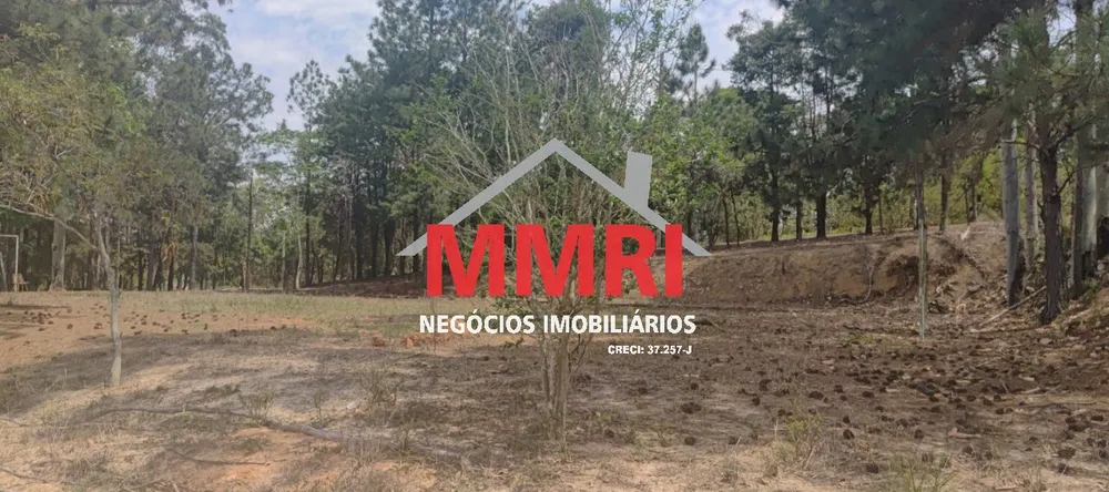 Chácara, 2 quartos, 9700 m² - Foto 3