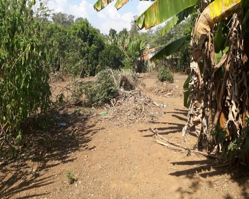 Terreno, 1500 m² - Foto 4