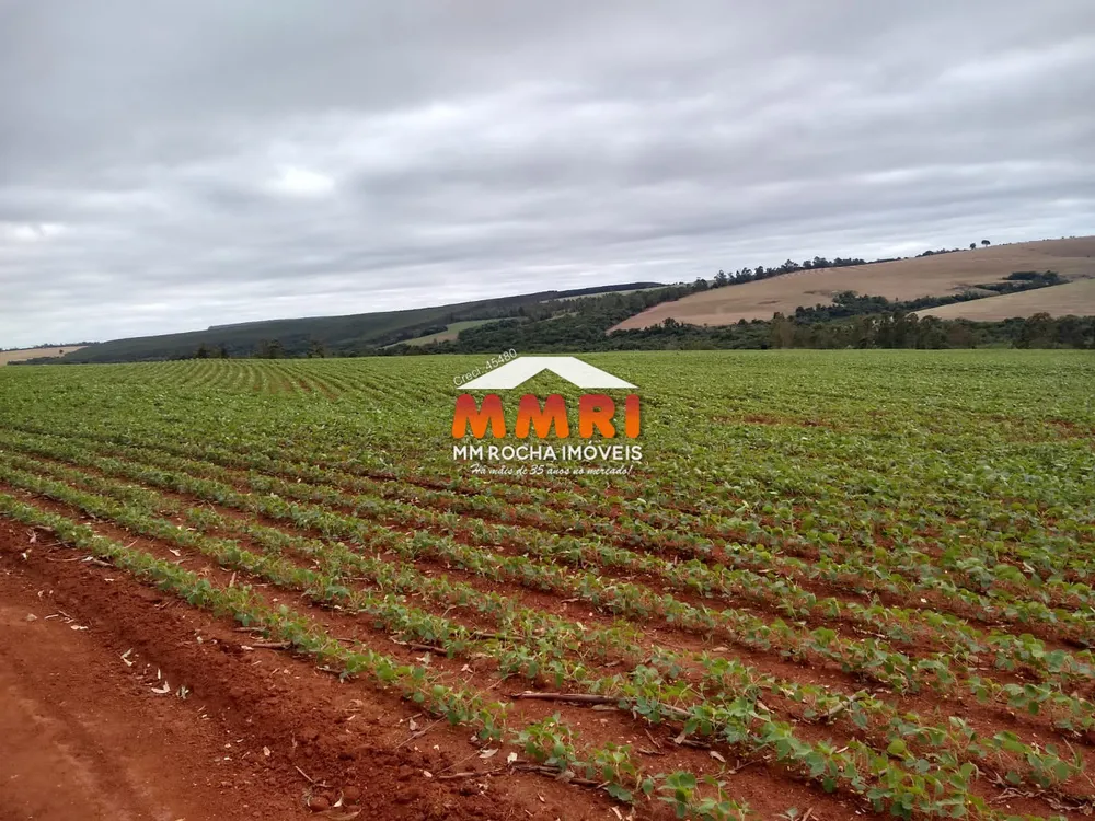 Fazenda, 212 m² - Foto 4