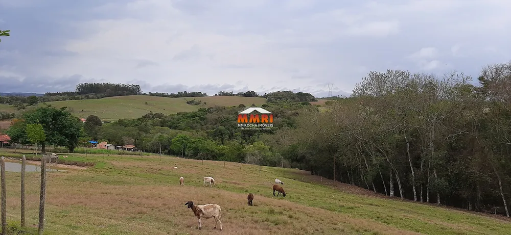 Sítio, 3 quartos, 3 hectares - Foto 8