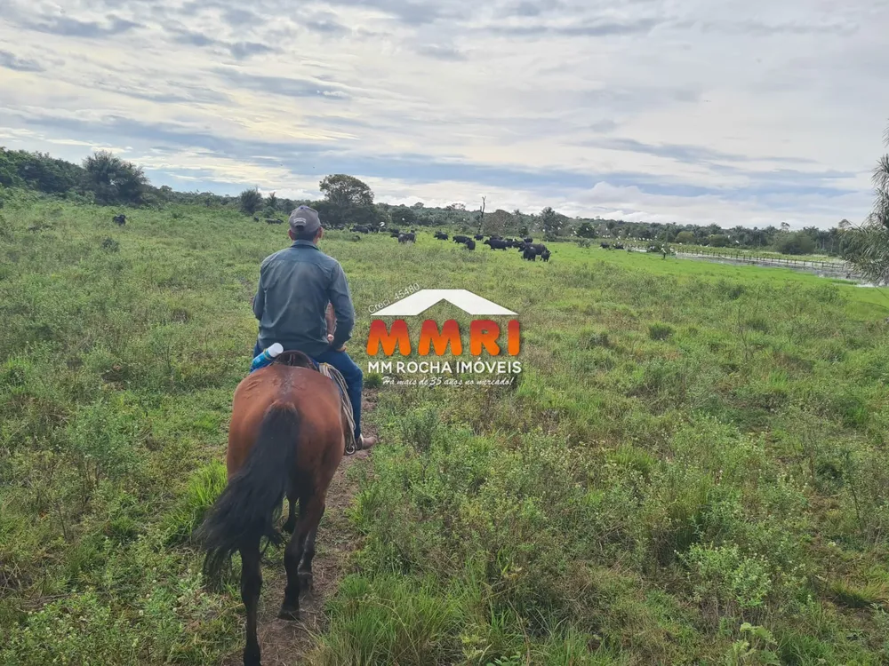Fazenda, 1 hectares - Foto 6