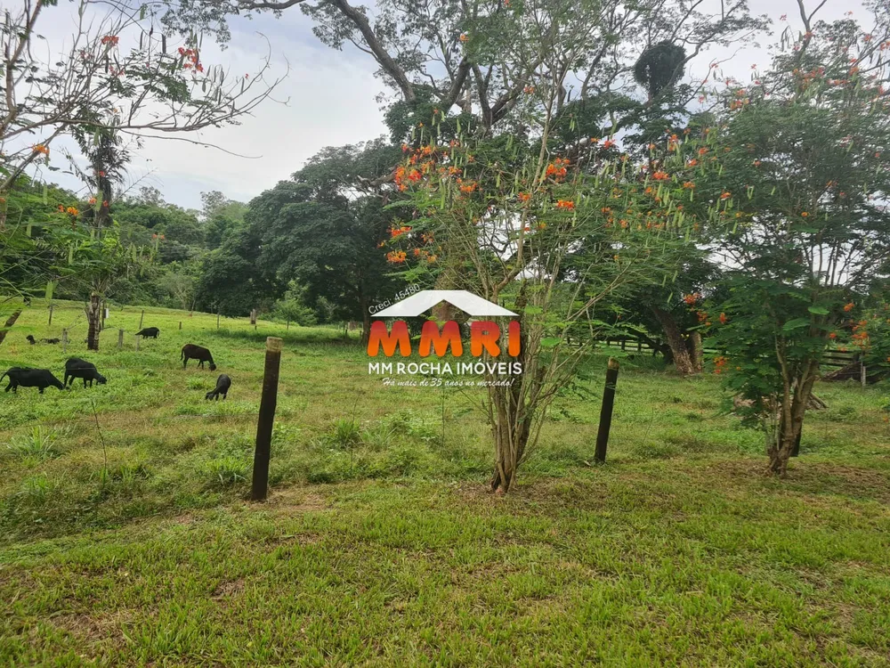 Fazenda, 1 hectares - Foto 8