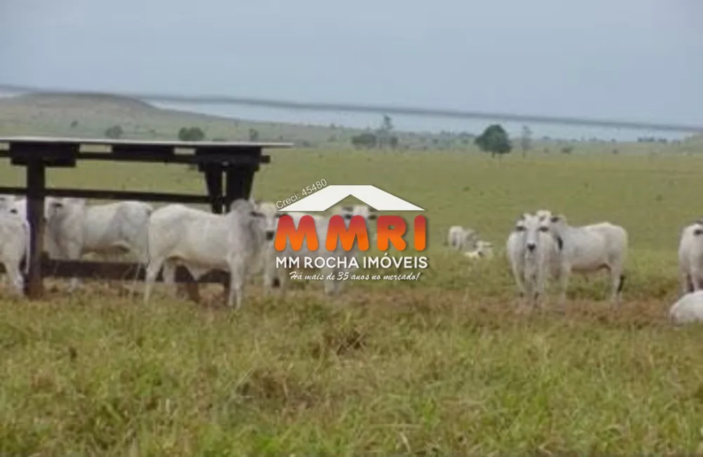 Fazenda - Foto 3