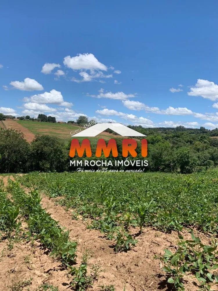 Terreno, 9000 m² - Foto 7