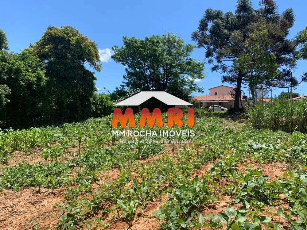 Terreno, 9000 m² - Foto 3