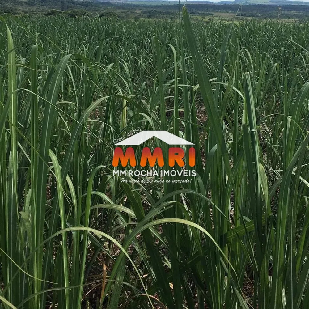 Fazenda, 2400 m² - Foto 5