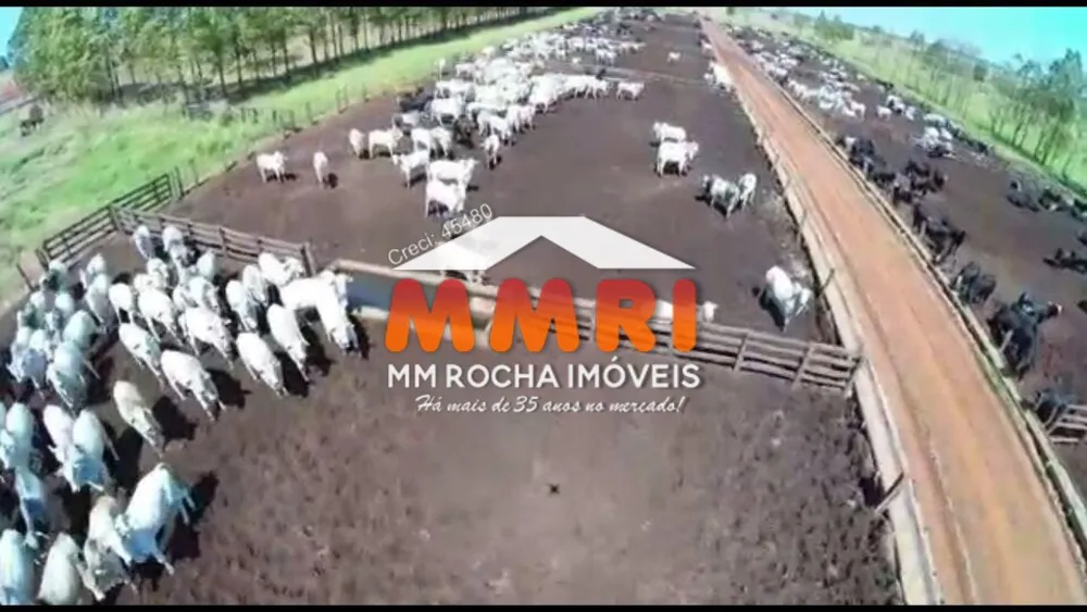 Fazenda, 2400 m² - Foto 8