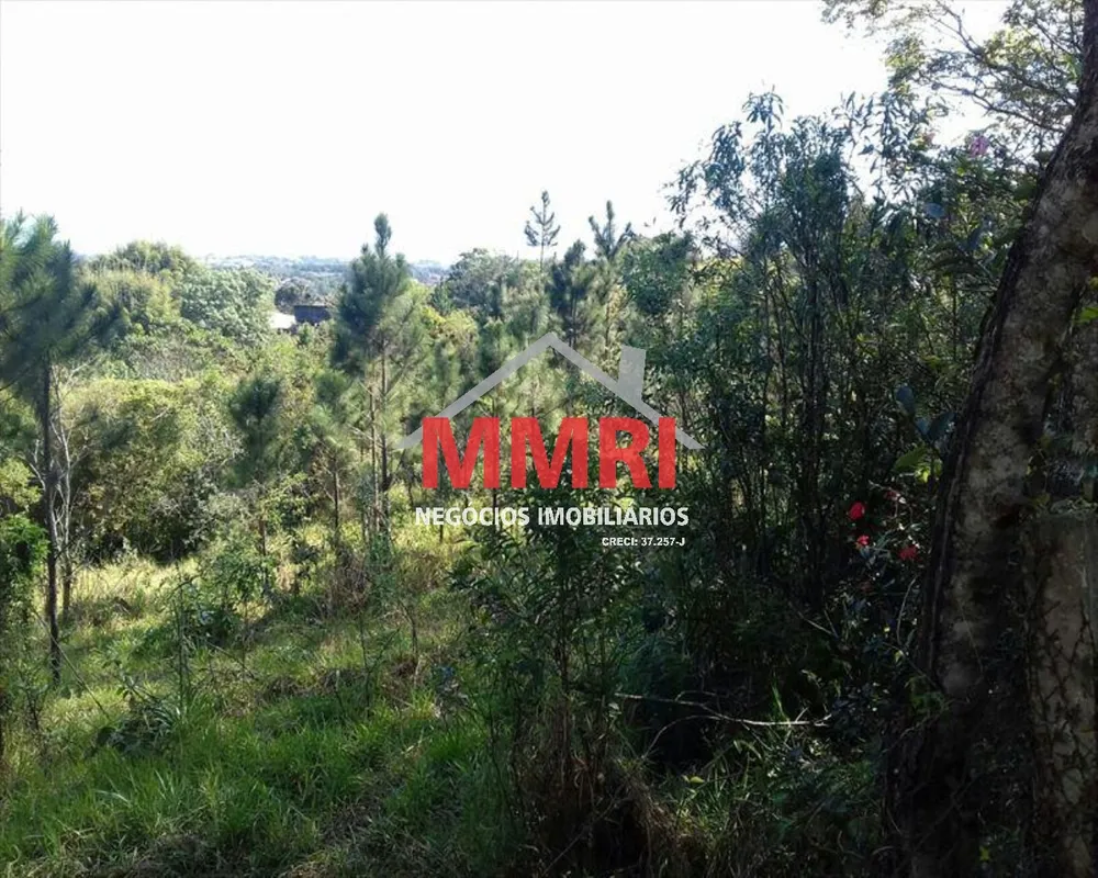 Terreno, 1000 m² - Foto 2