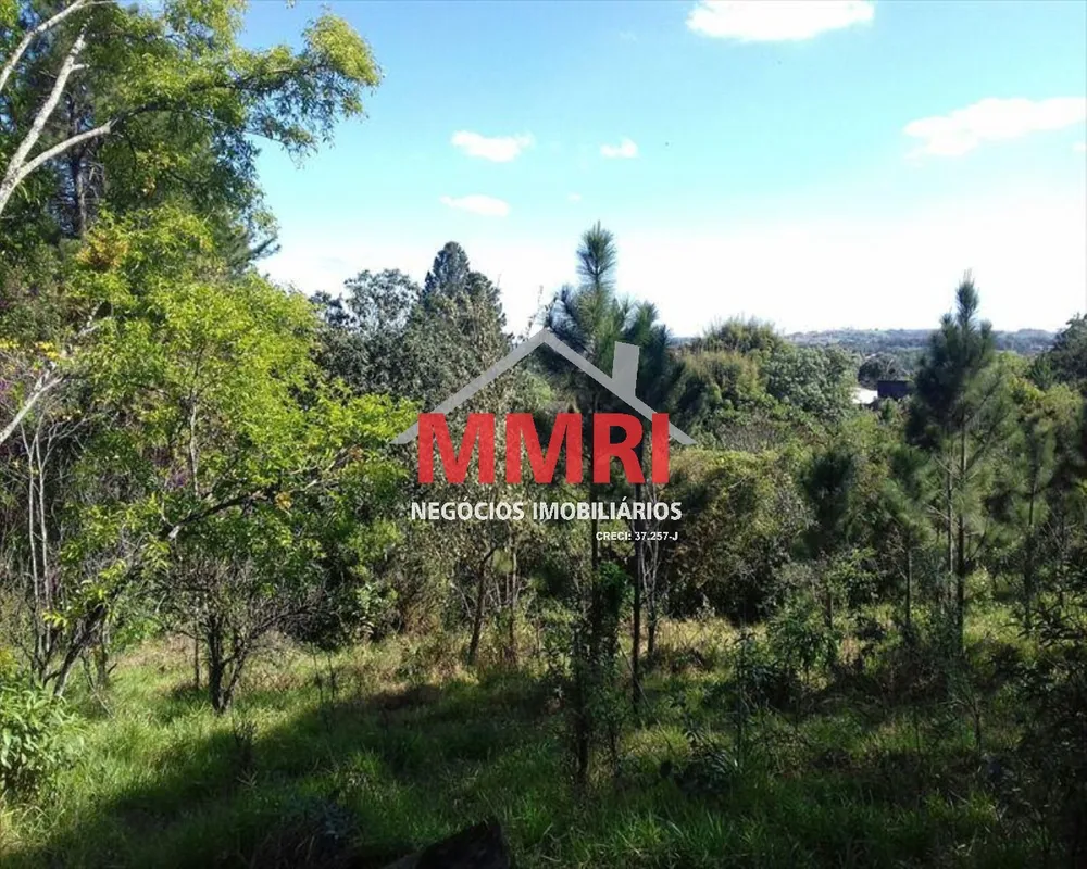 Terreno, 1000 m² - Foto 3