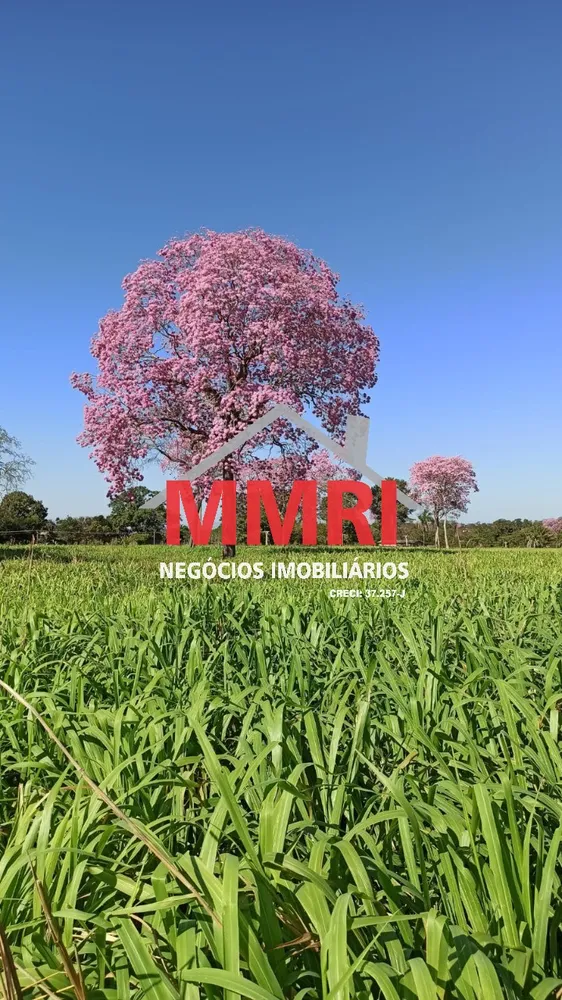 Fazenda - Foto 4
