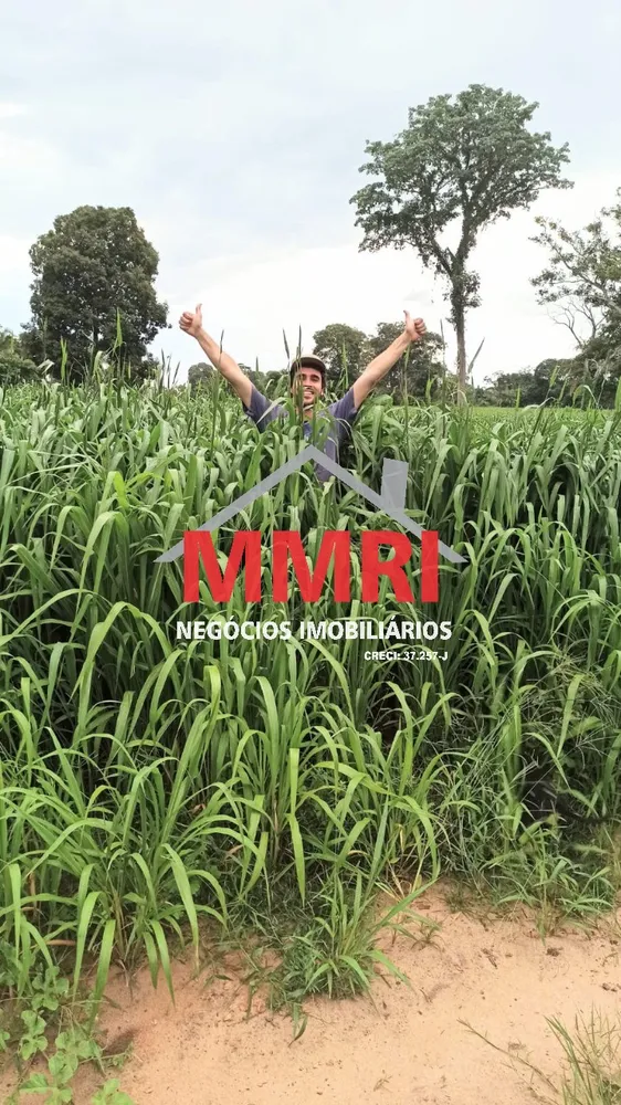 Fazenda - Foto 3