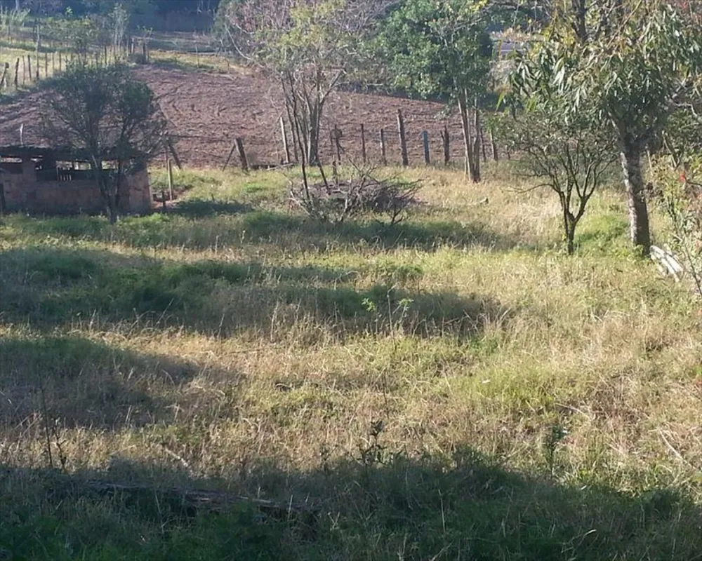 Chácara, 4 quartos, 3 hectares - Foto 2