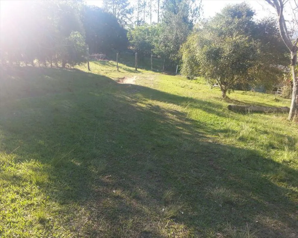Chácara, 4 quartos, 3 hectares - Foto 3