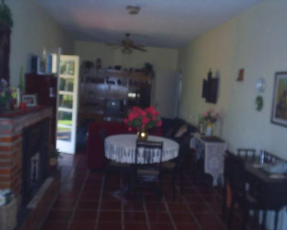 Chácara, 4 quartos, 3 hectares - Foto 4