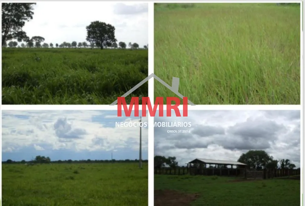 Fazenda, 8 hectares - Foto 4