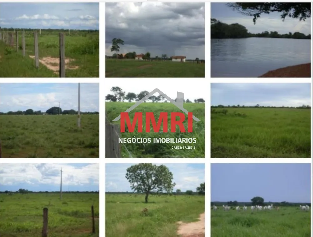Fazenda, 8 hectares - Foto 5