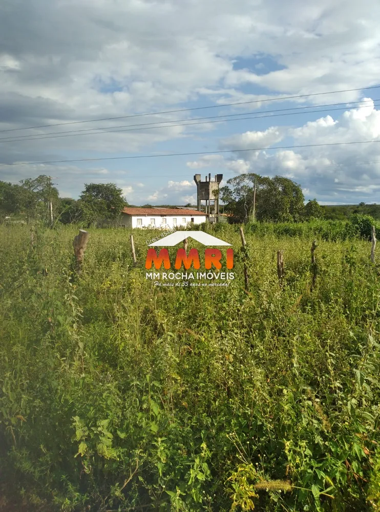 Fazenda, 2 hectares - Foto 4