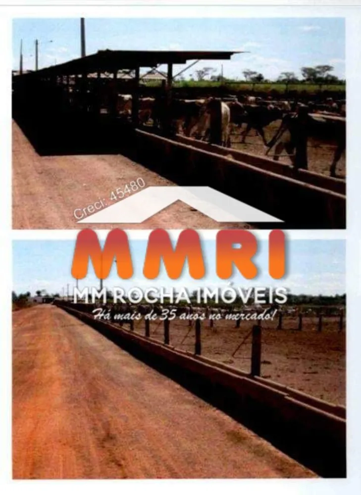 Fazenda, 4 hectares - Foto 2