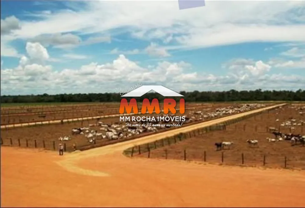 Fazenda - Foto 4