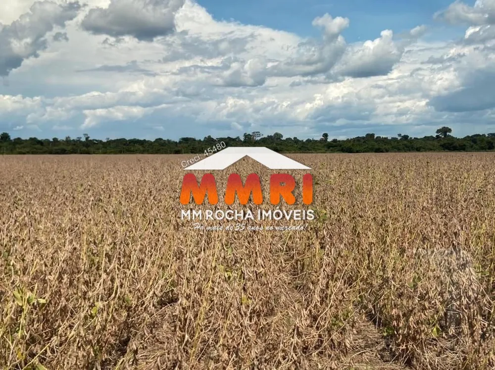 Fazenda, 4 hectares - Foto 2