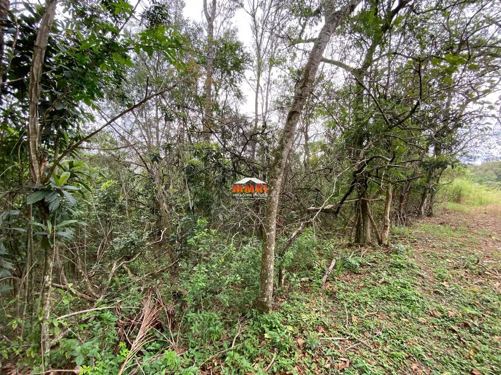 Terreno, 5446 m² - Foto 5