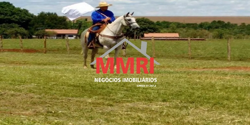 Fazenda, 8 hectares - Foto 8