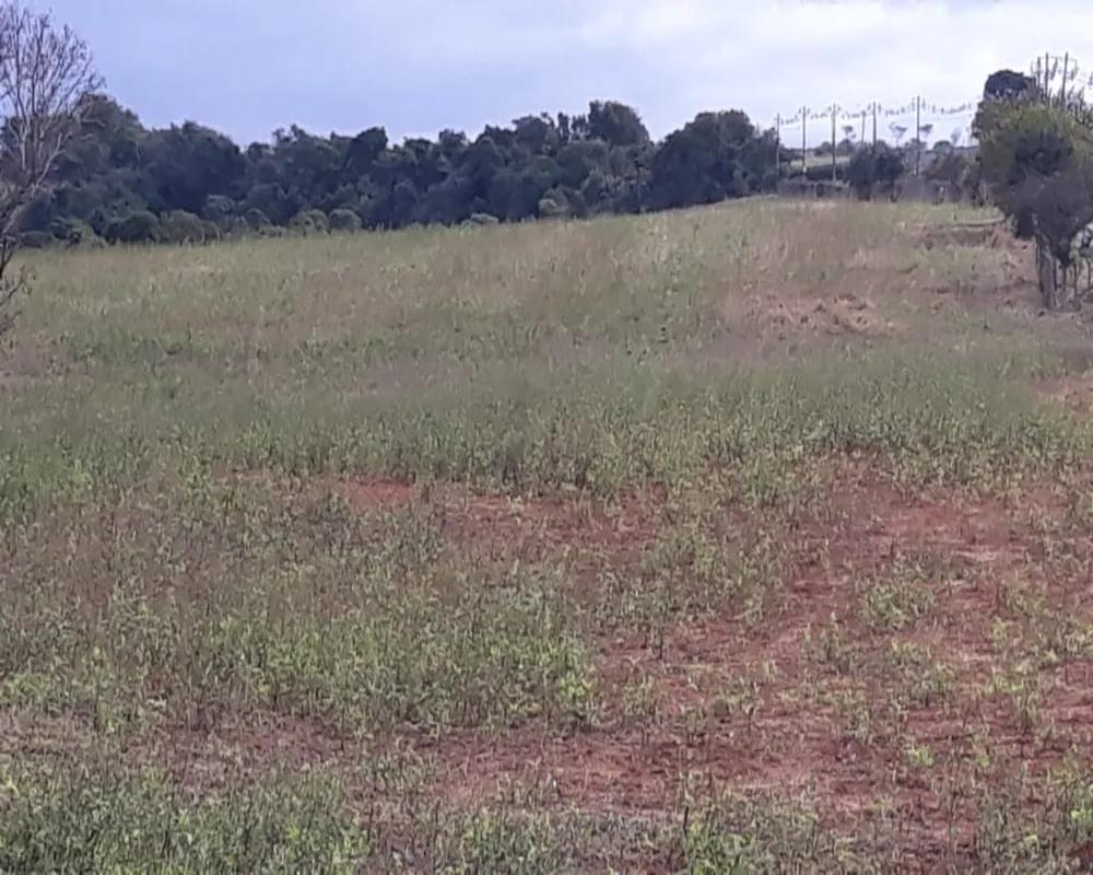 Terreno, 174 hectares - Foto 1